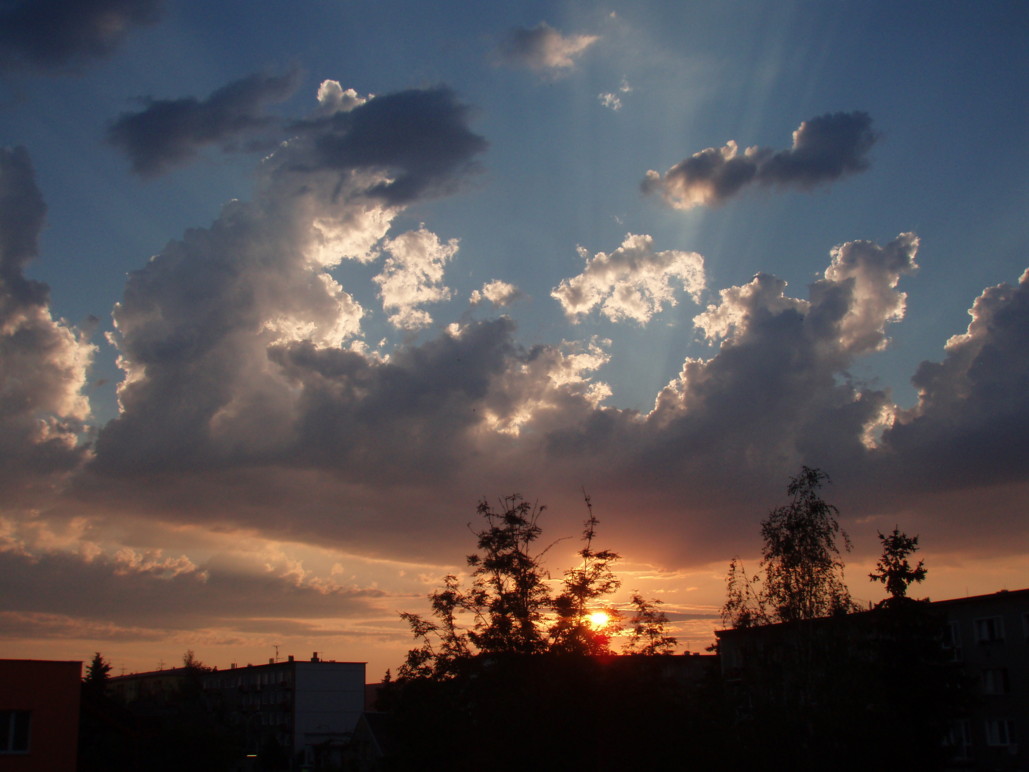 P7160007.JPG