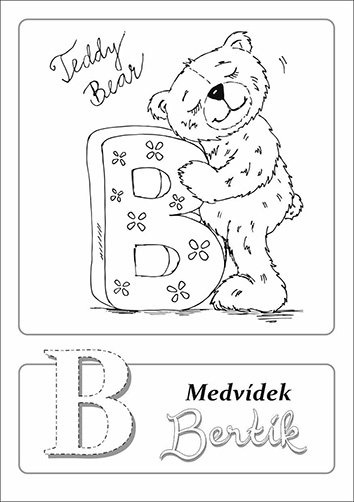 Teddy 12